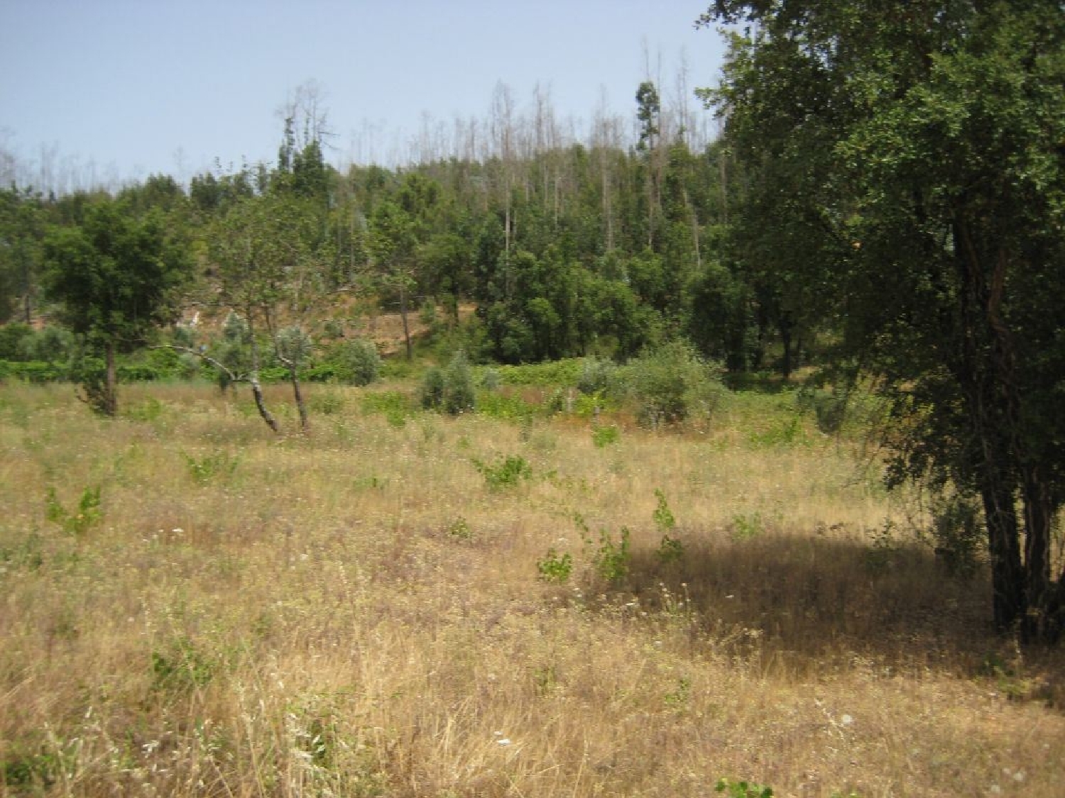 te koop terrein Vila de Rei Vila De Rei 3