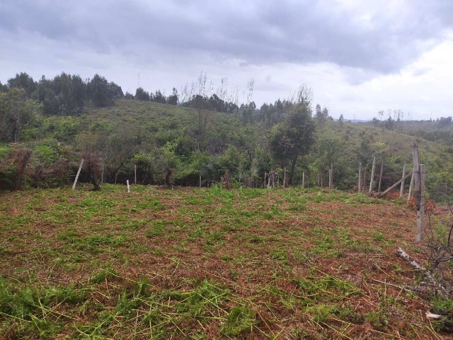  te koop terrein Vila Facaia Pedrógão Grande 1