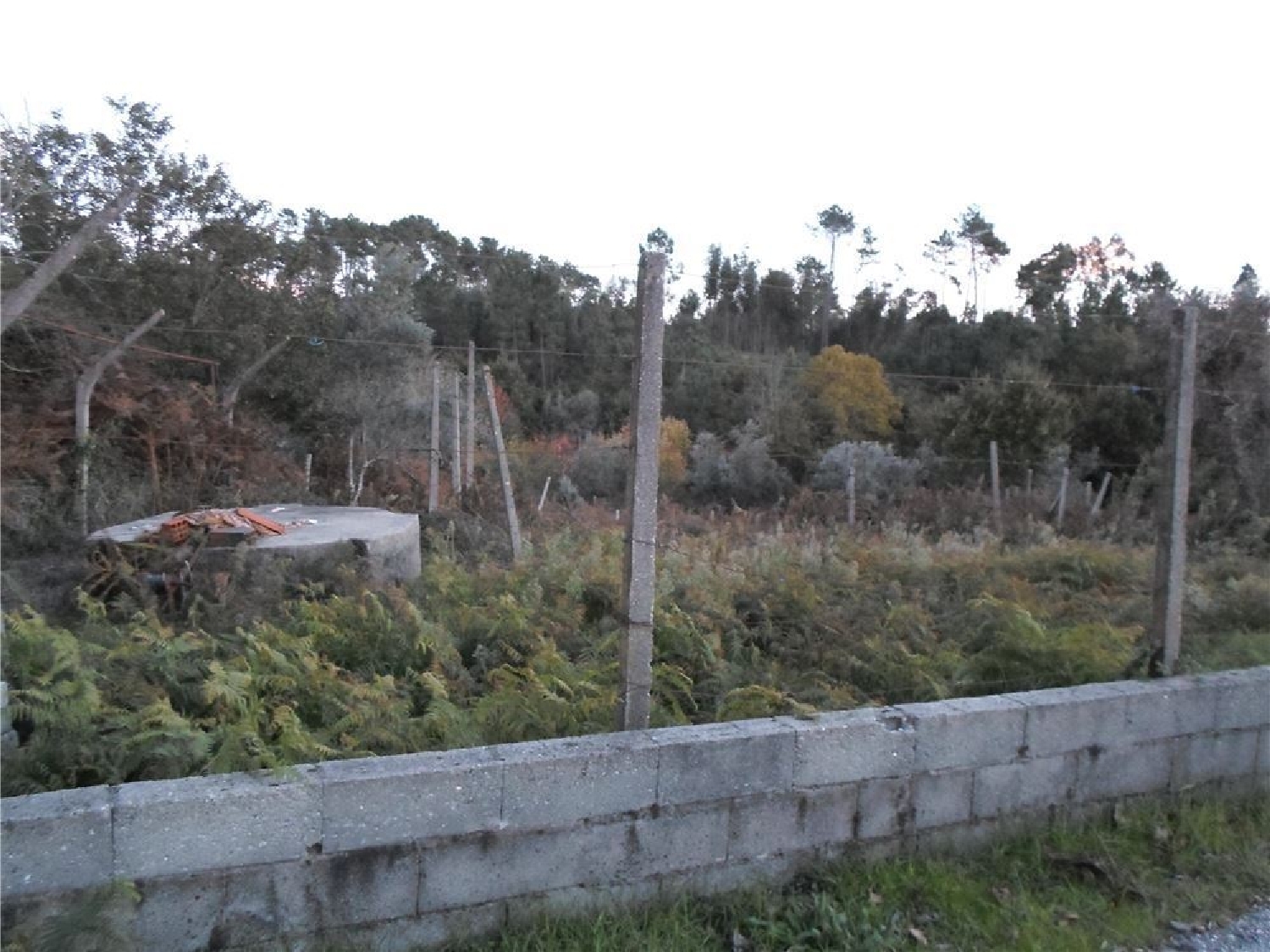te koop terrein Vila Facaia Pedrógão Grande 2