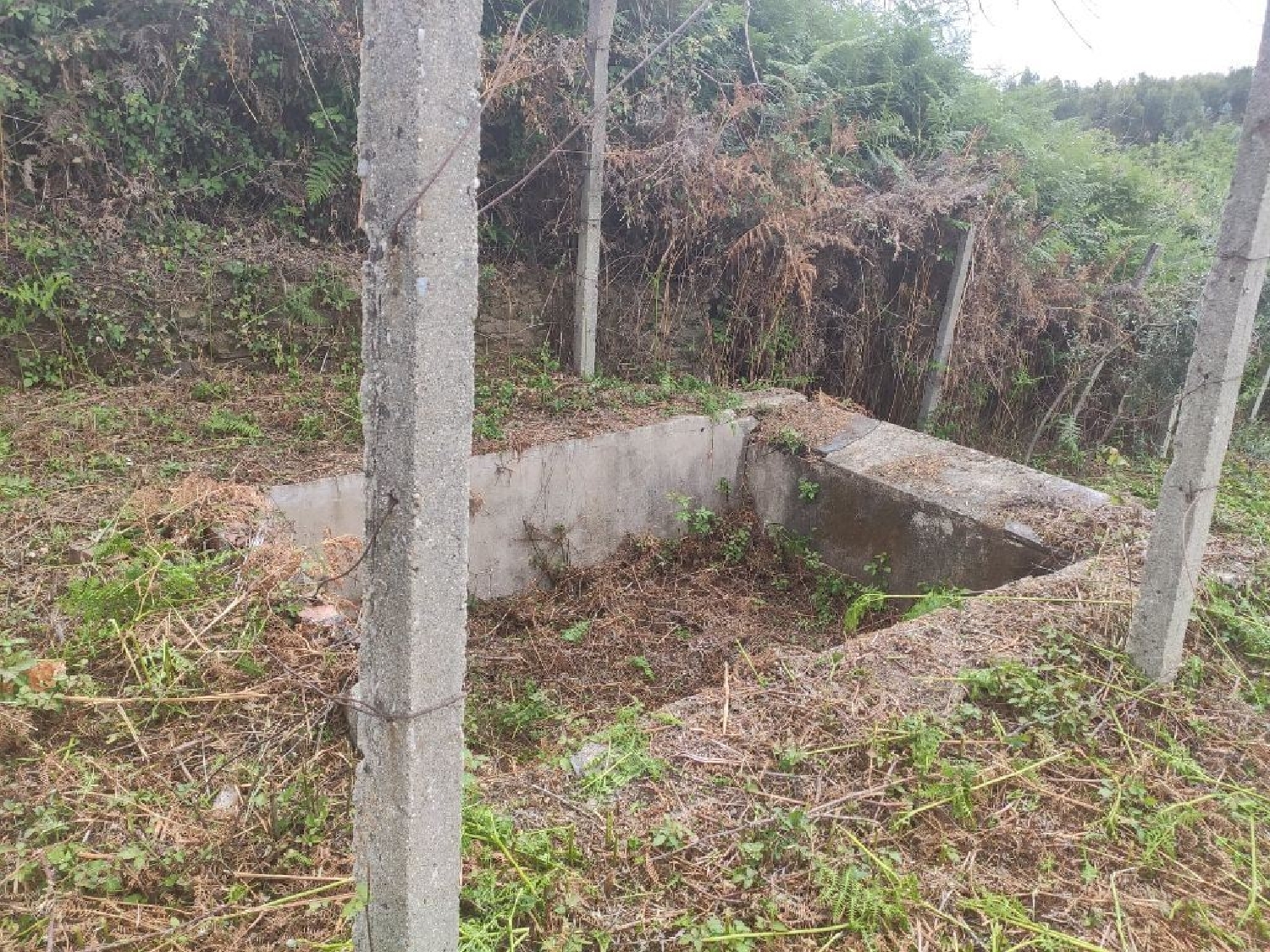 te koop terrein Vila Facaia Pedrógão Grande 3