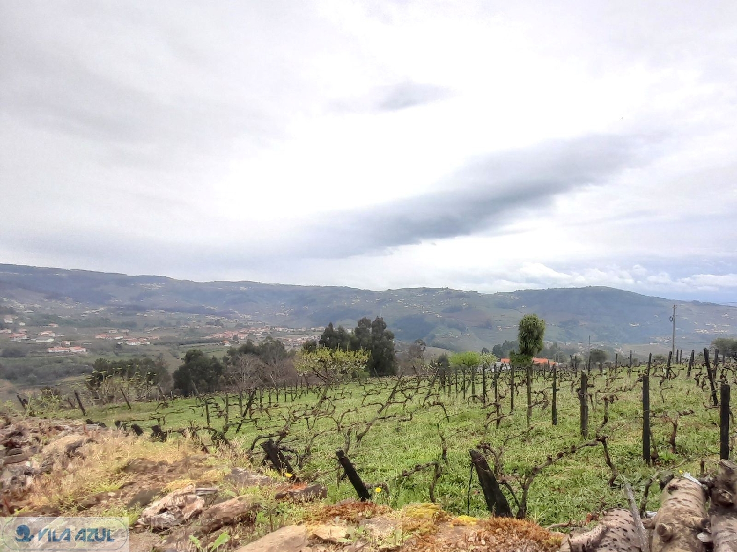  en venta terreno Vila Marim Mesão Frio 1