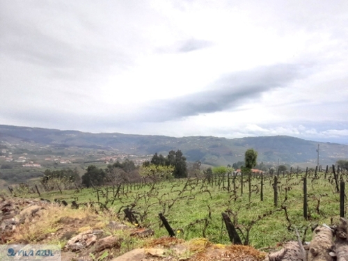 Vila Marim Mesão Frio terreno foto 327982