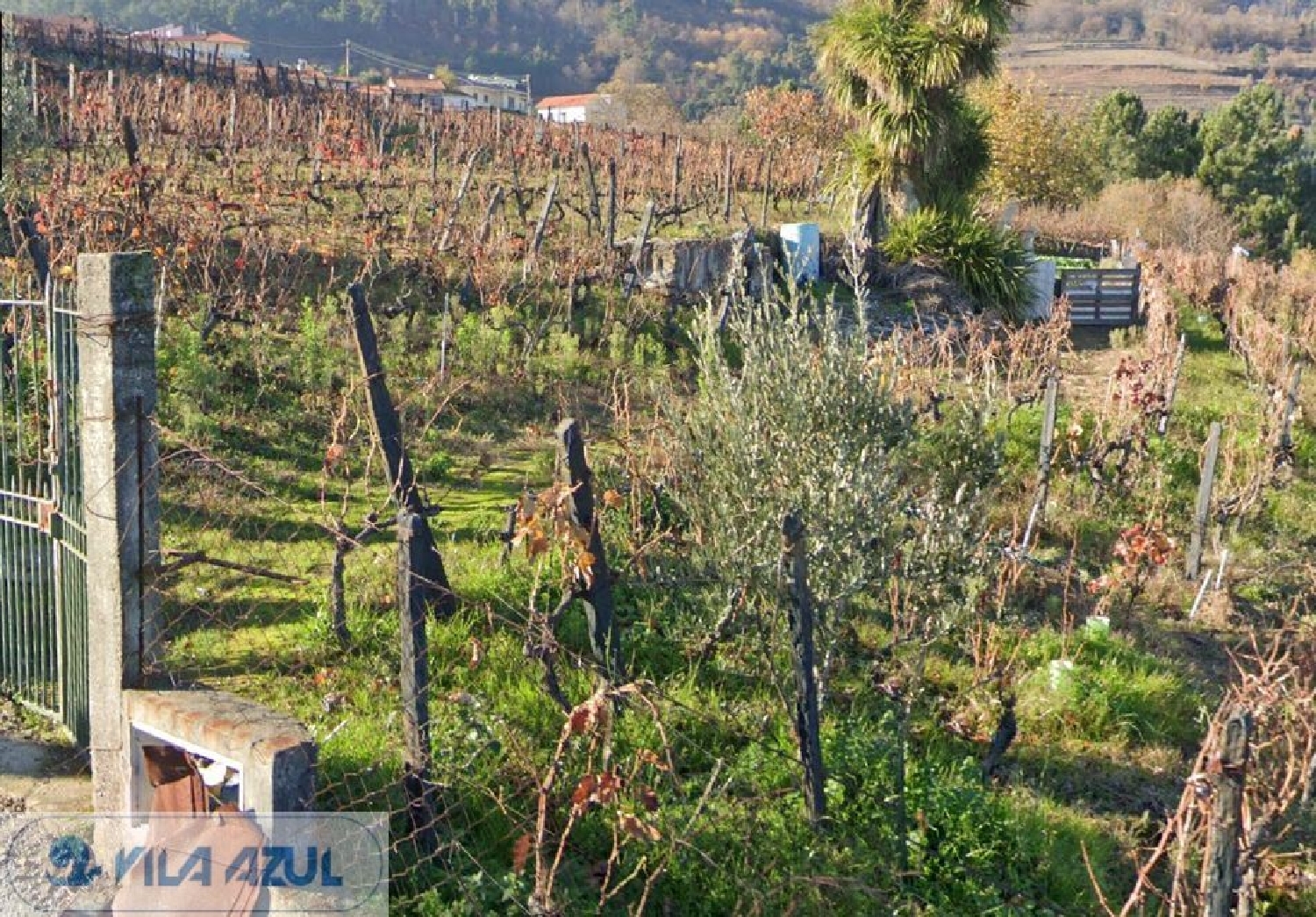 en venta terreno Vila Marim Mesão Frio 2