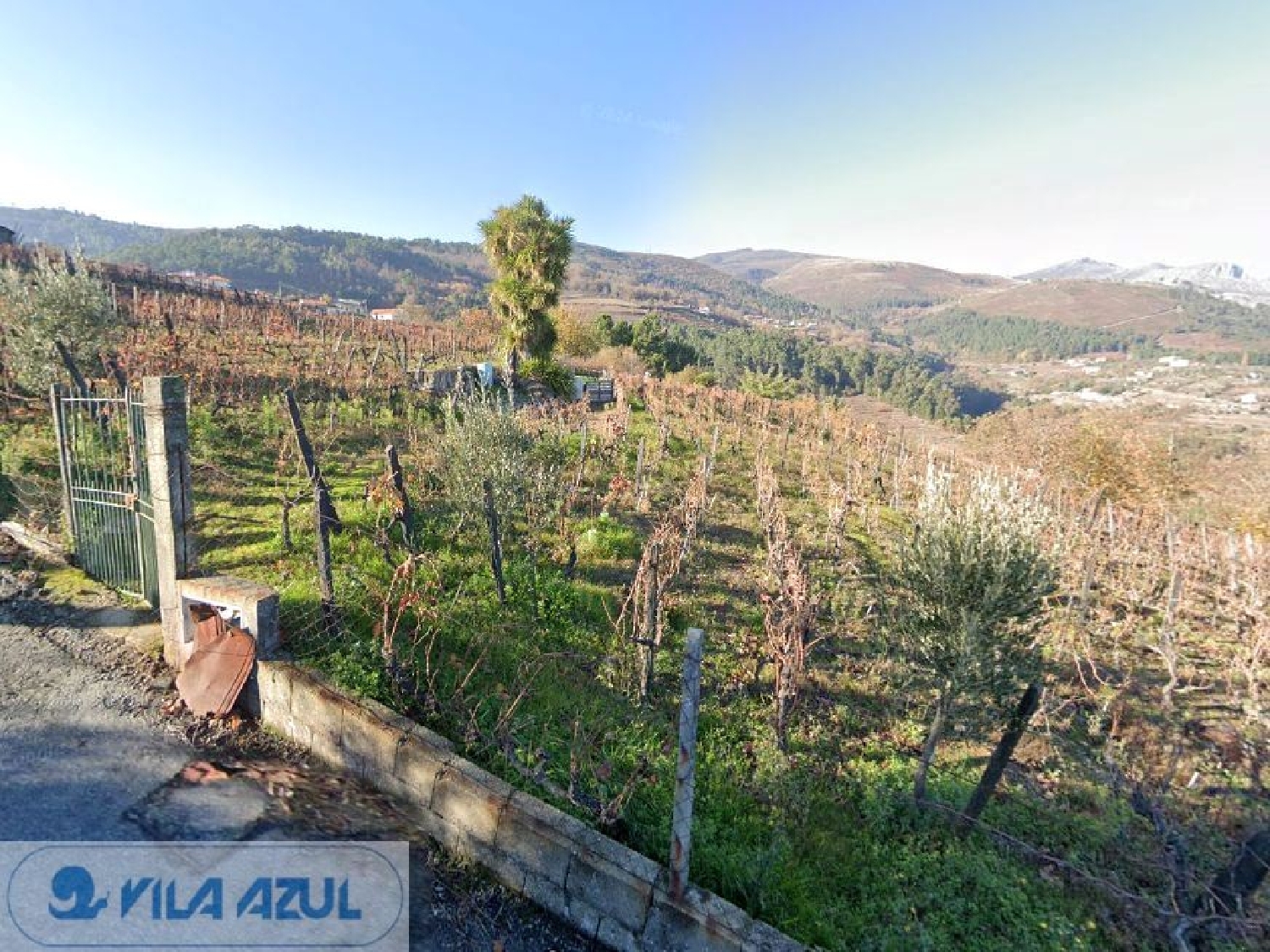  en venta terreno Vila Marim Mesão Frio 3