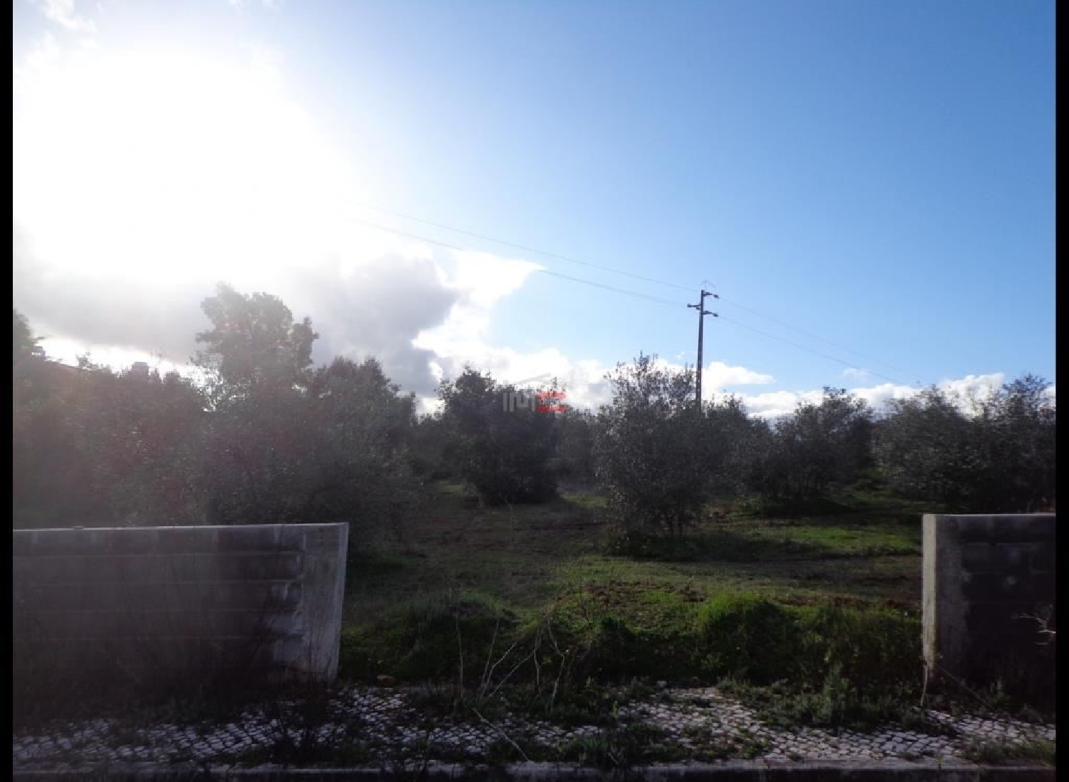 en venta terreno Vila Nova da Barquinha Vila Nova Da Barquinha 2
