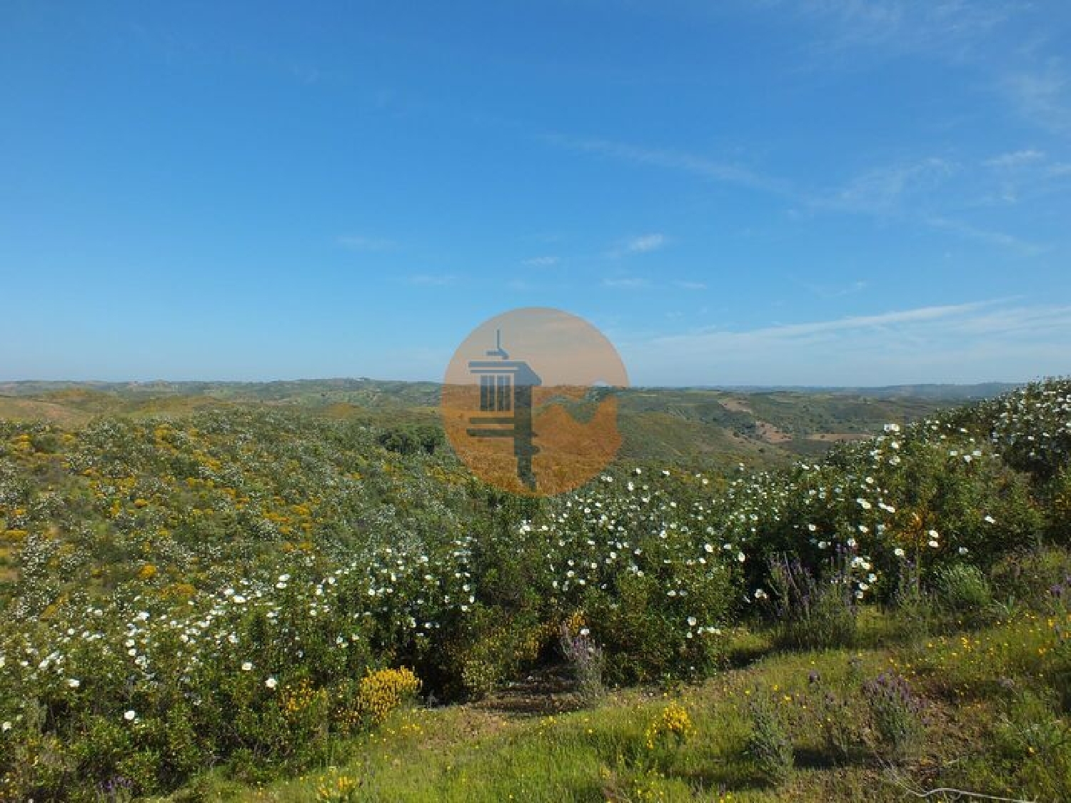  à vendre terrain Vila Nova de Cacela Vila Real De Santo António 1