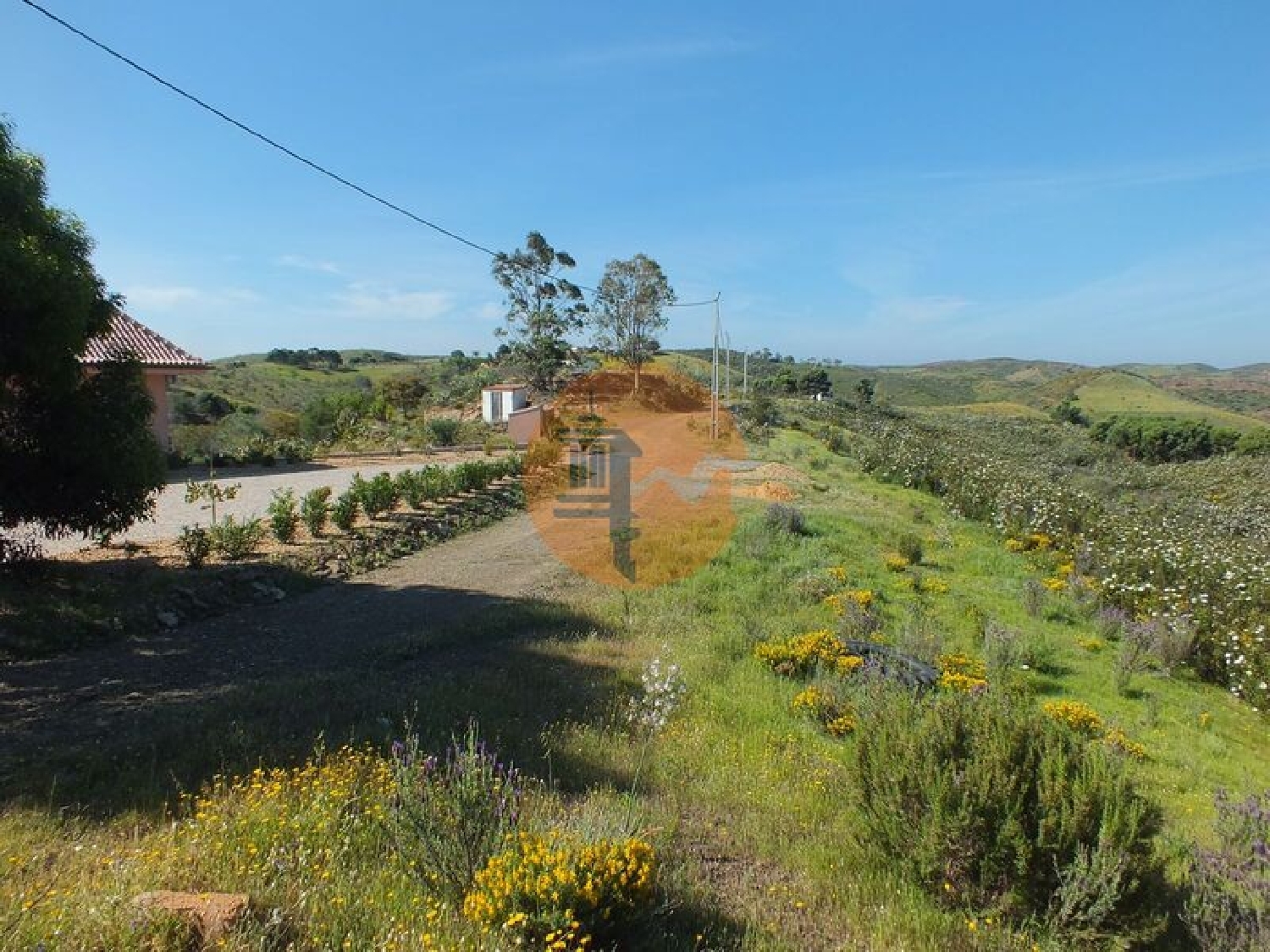 à vendre terrain Vila Nova de Cacela Vila Real De Santo António 3