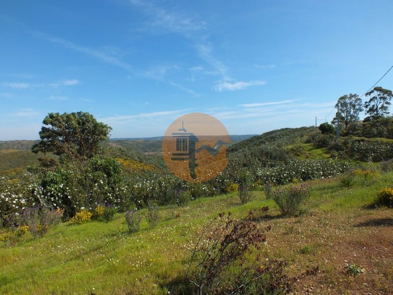  à vendre terrain Vila Nova de Cacela Vila Real De Santo António 4