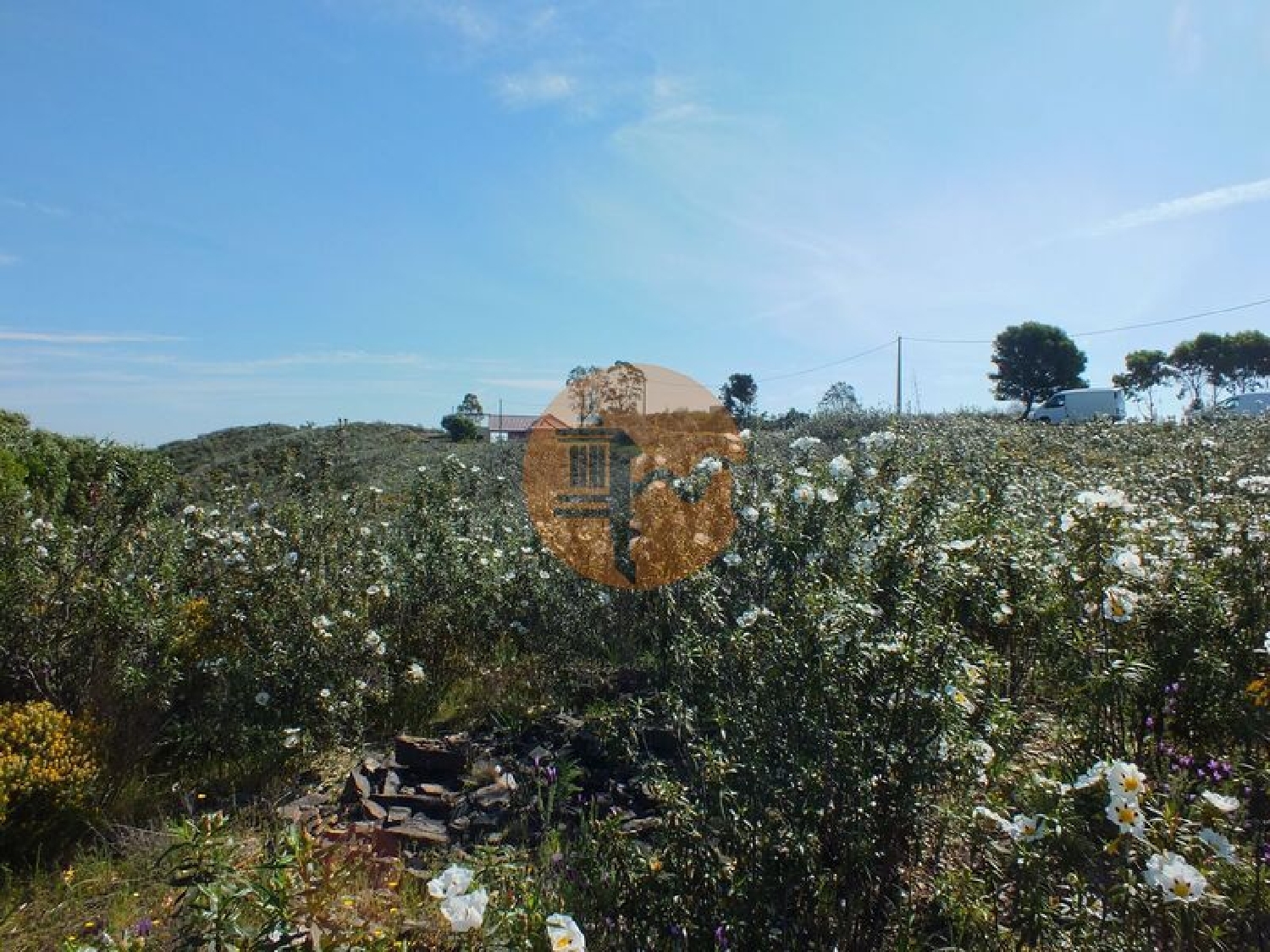  à vendre terrain Vila Nova de Cacela Vila Real De Santo António 6