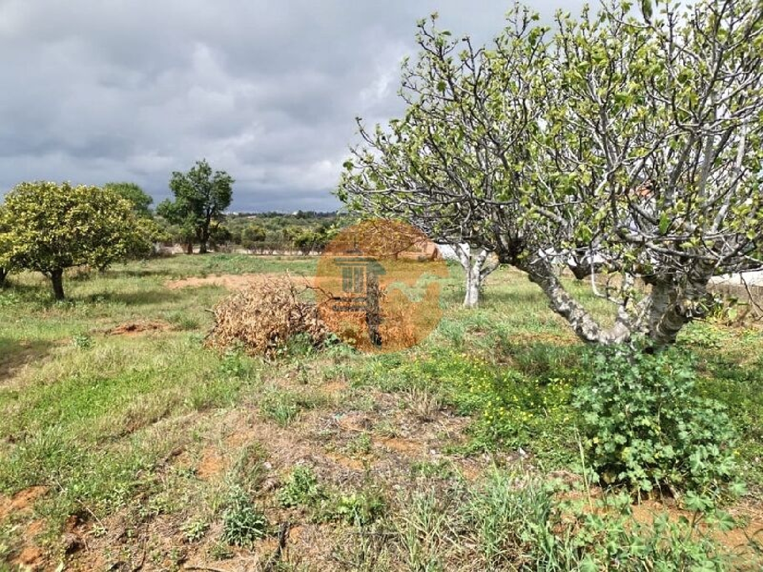 à vendre terrain Vila Nova de Cacela Vila Real De Santo António 3