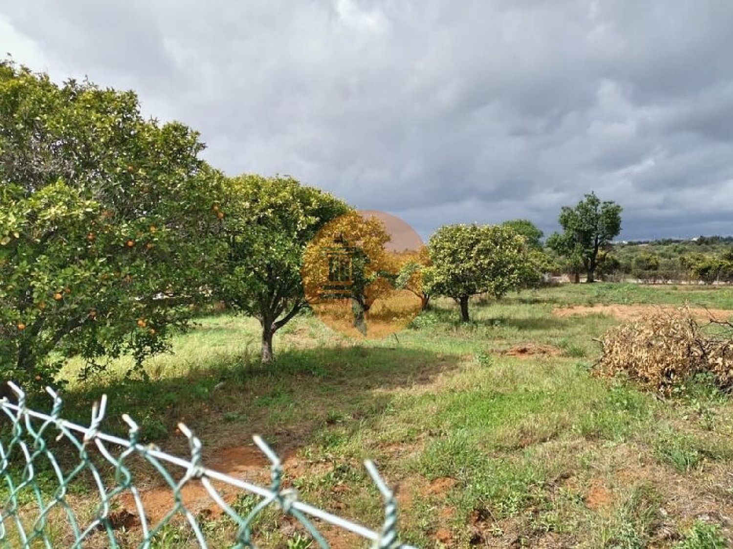  à vendre terrain Vila Nova de Cacela Vila Real De Santo António 6