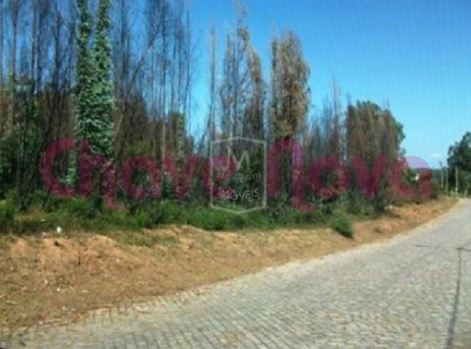  à vendre terrain Vila Nova de Gaia Vila Nova De Gaia 1