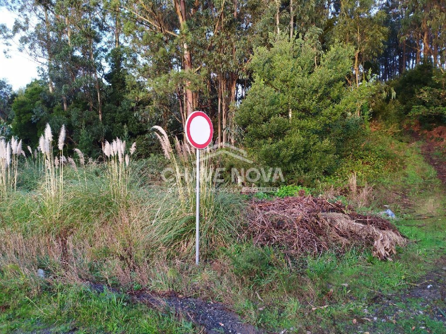  kaufen Grundstück Vila Nova de Gaia Vila Nova De Gaia 1