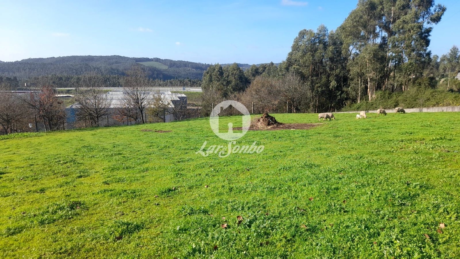  te koop terrein Vila Nova de Famalicão Vila Nova De Famalicão 1