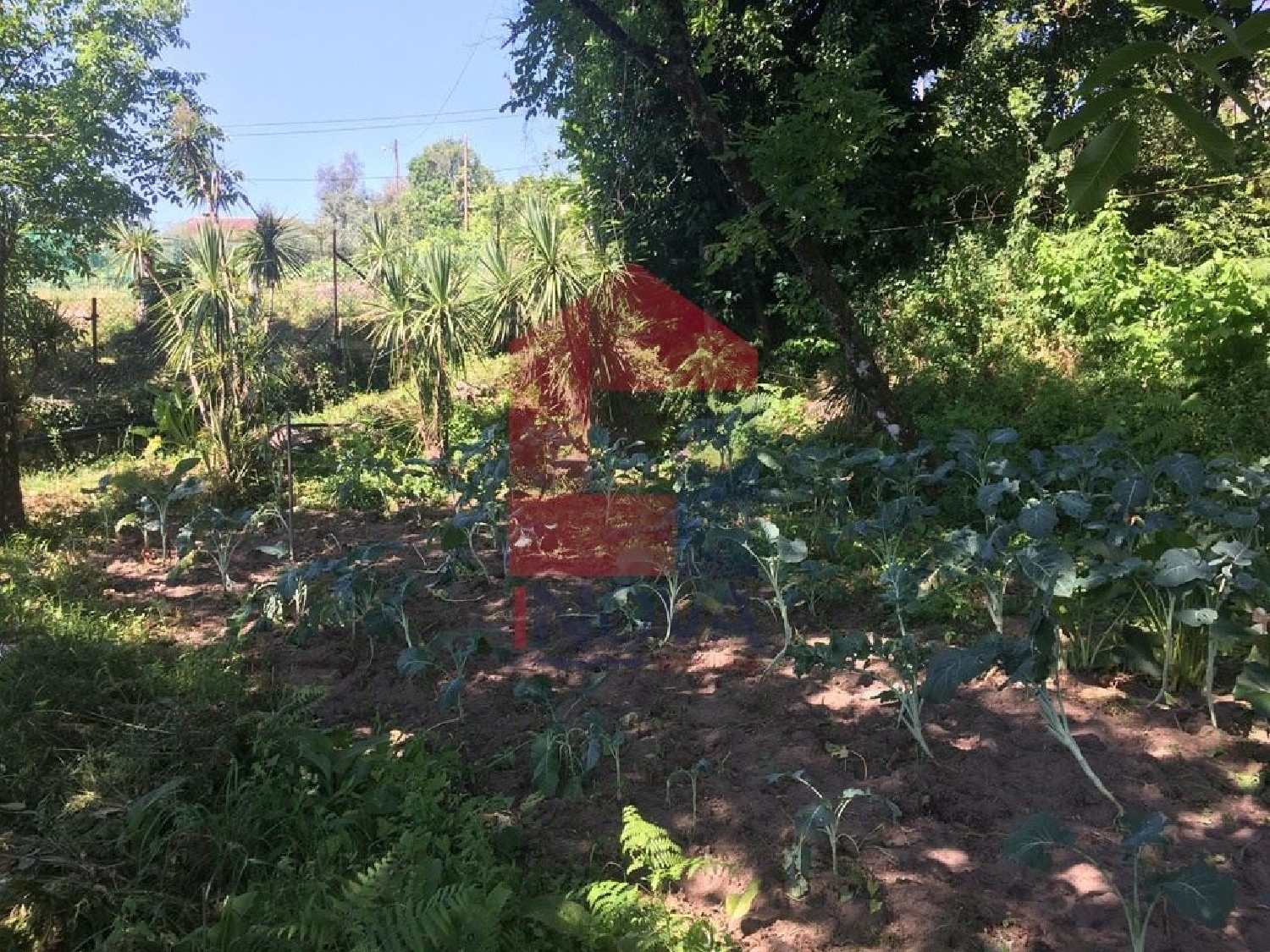 te koop terrein Vila Verde Vila Verde 2