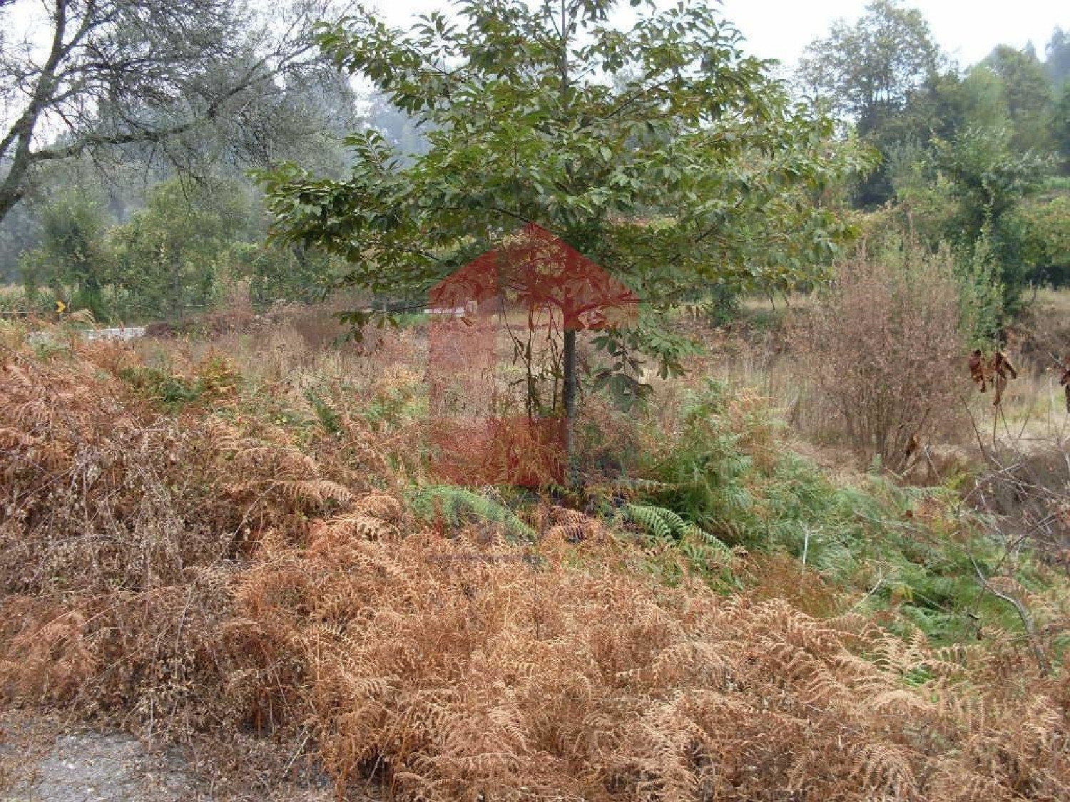  te koop terrein Vila Verde Vila Verde 2
