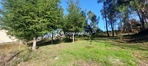 Vila Castro Daire terrain foto 319612