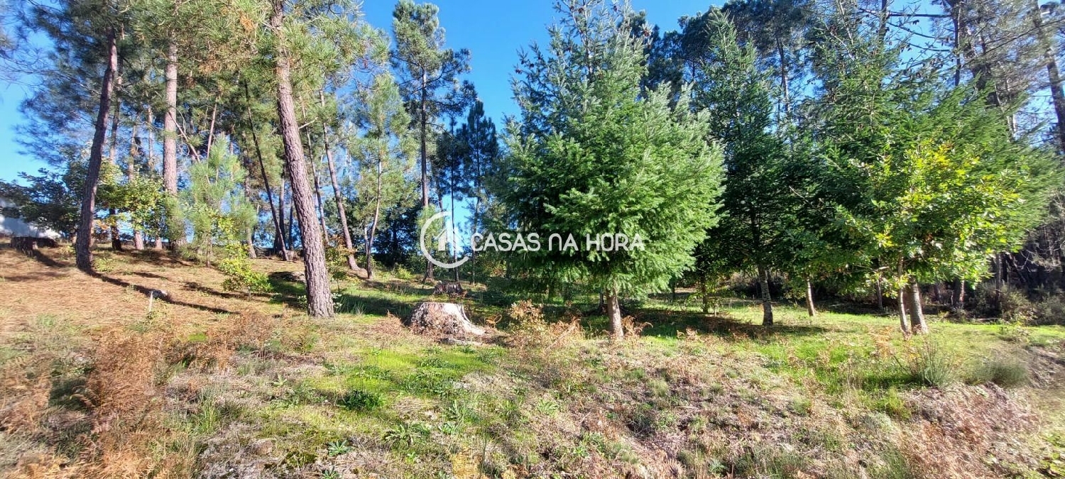 à vendre terrain Vila Castro Daire 3