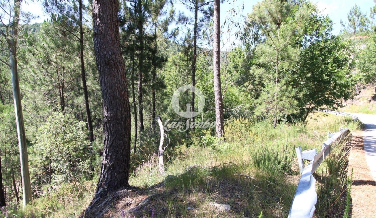  te koop terrein Vila Terras De Bouro 1