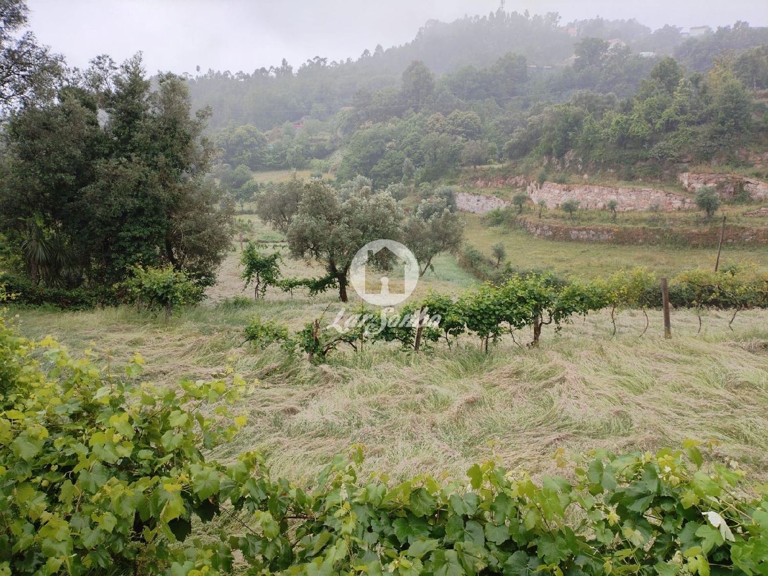  köpa tomt Vila Terras De Bouro 1