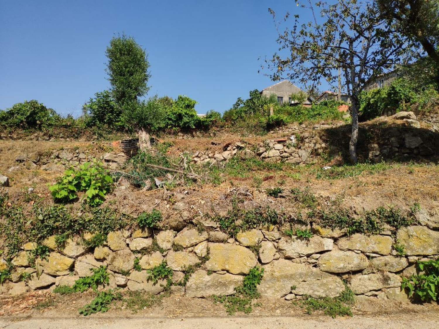  for sale terrain Vilarinho Oliveira De Frades 1