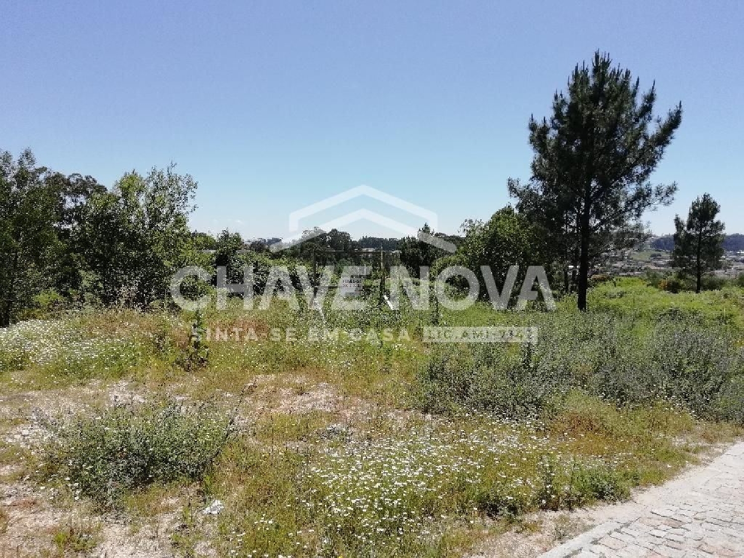  for sale terrain Vilela Paredes 1