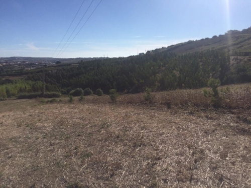 Vimeiro Lourinhã terrein foto 325103