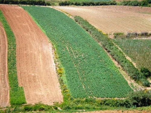 Vimeiro Lourinhã tomt foto 320059