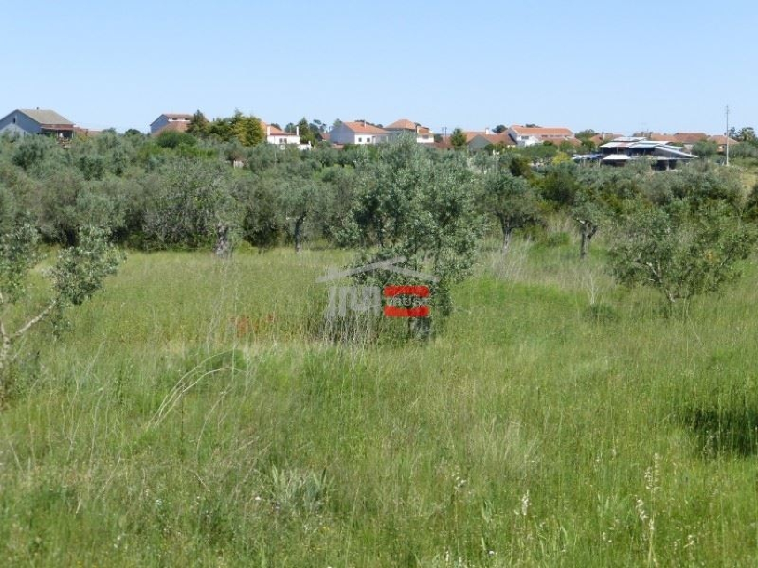  à vendre terrain Zibreira Torres Novas 2