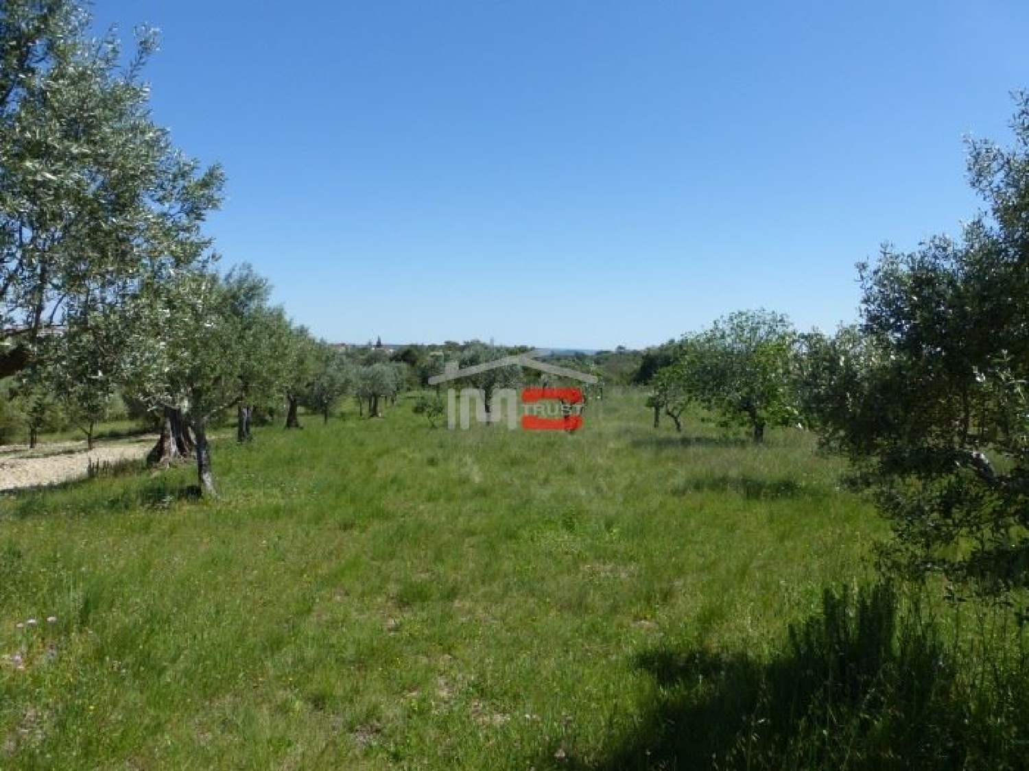  à vendre terrain Zibreira Torres Novas 3