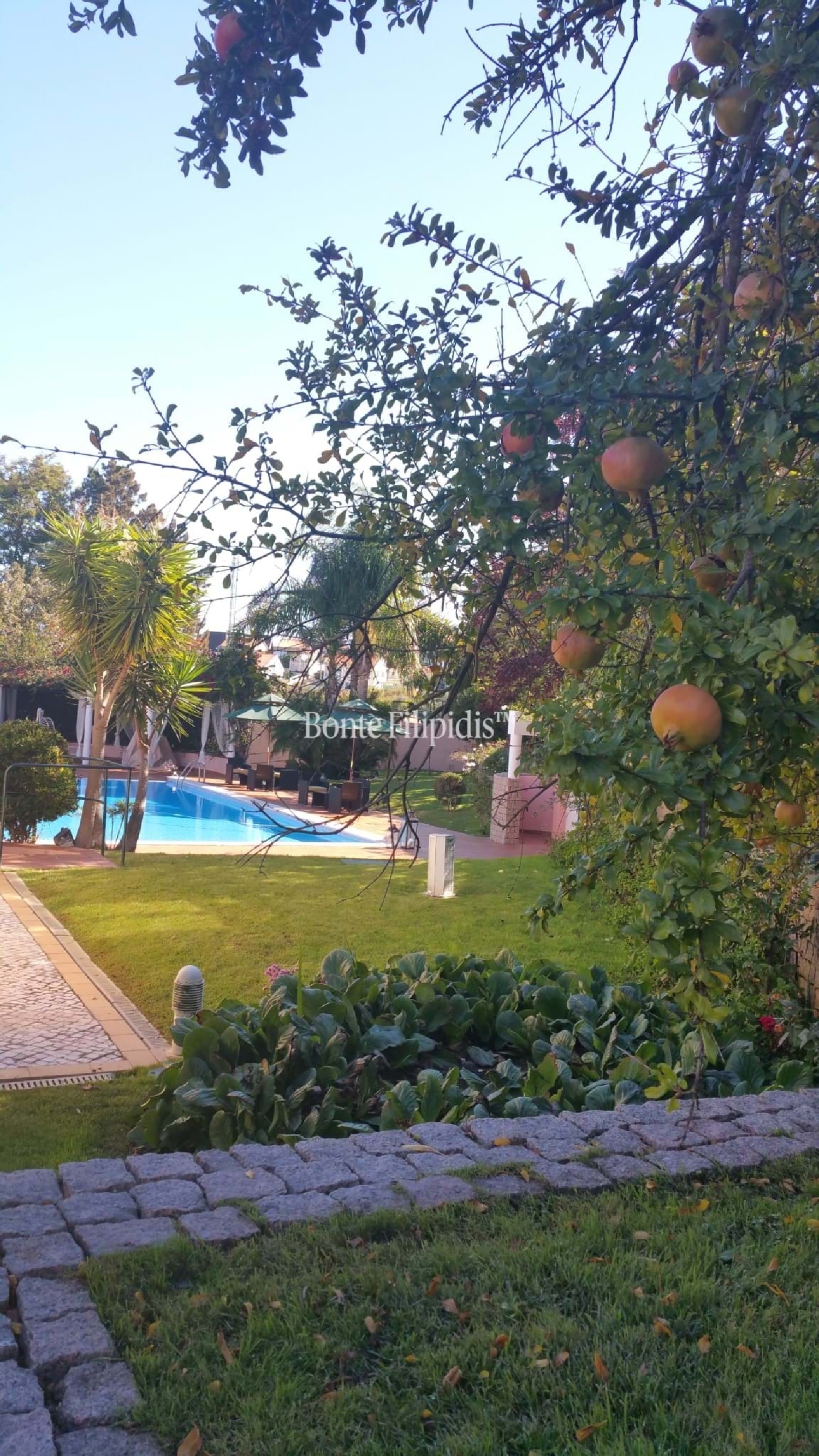  for sale villa Almada Almada 4