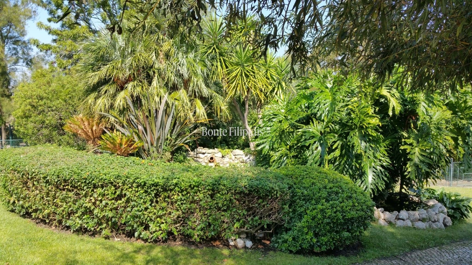  for sale villa Almada Almada 5