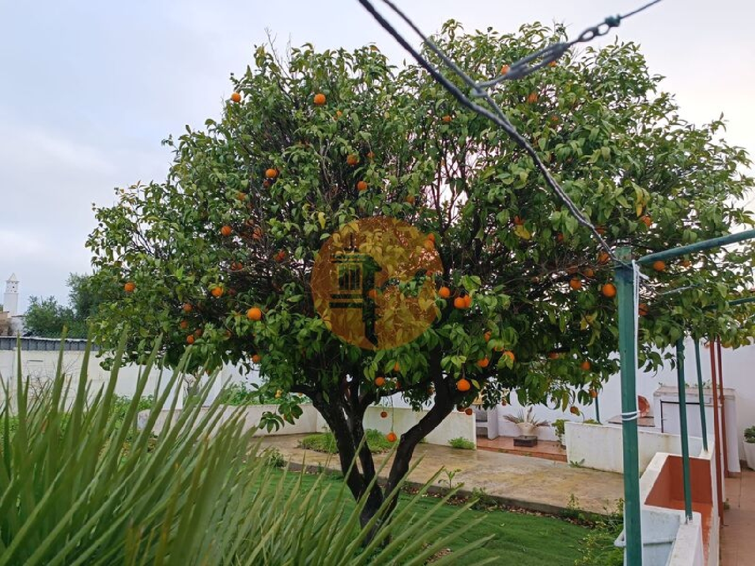  te koop villa Azinhal Albufeira 6