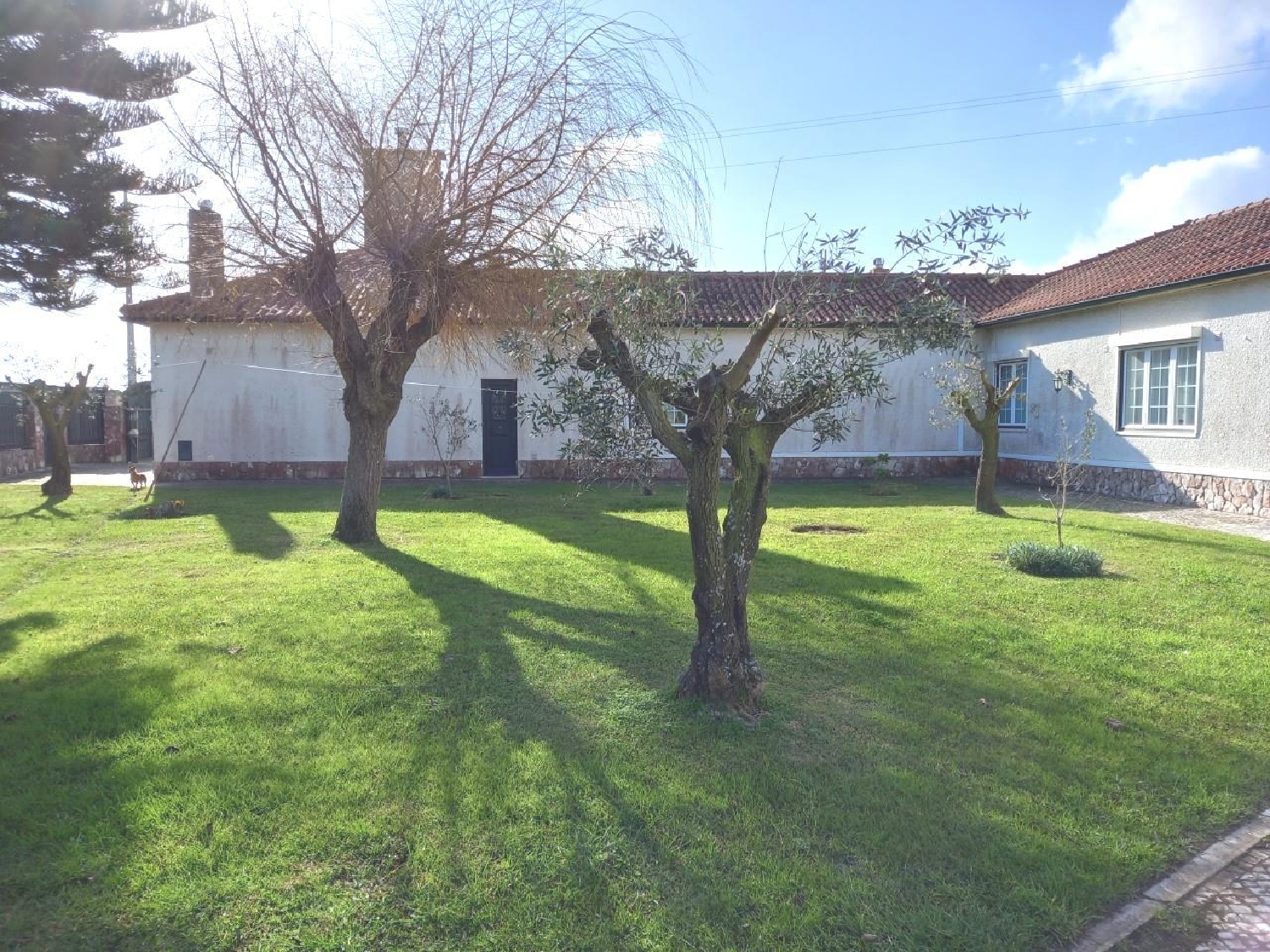  köpa villa Caldas da Rainha Caldas Da Rainha 4