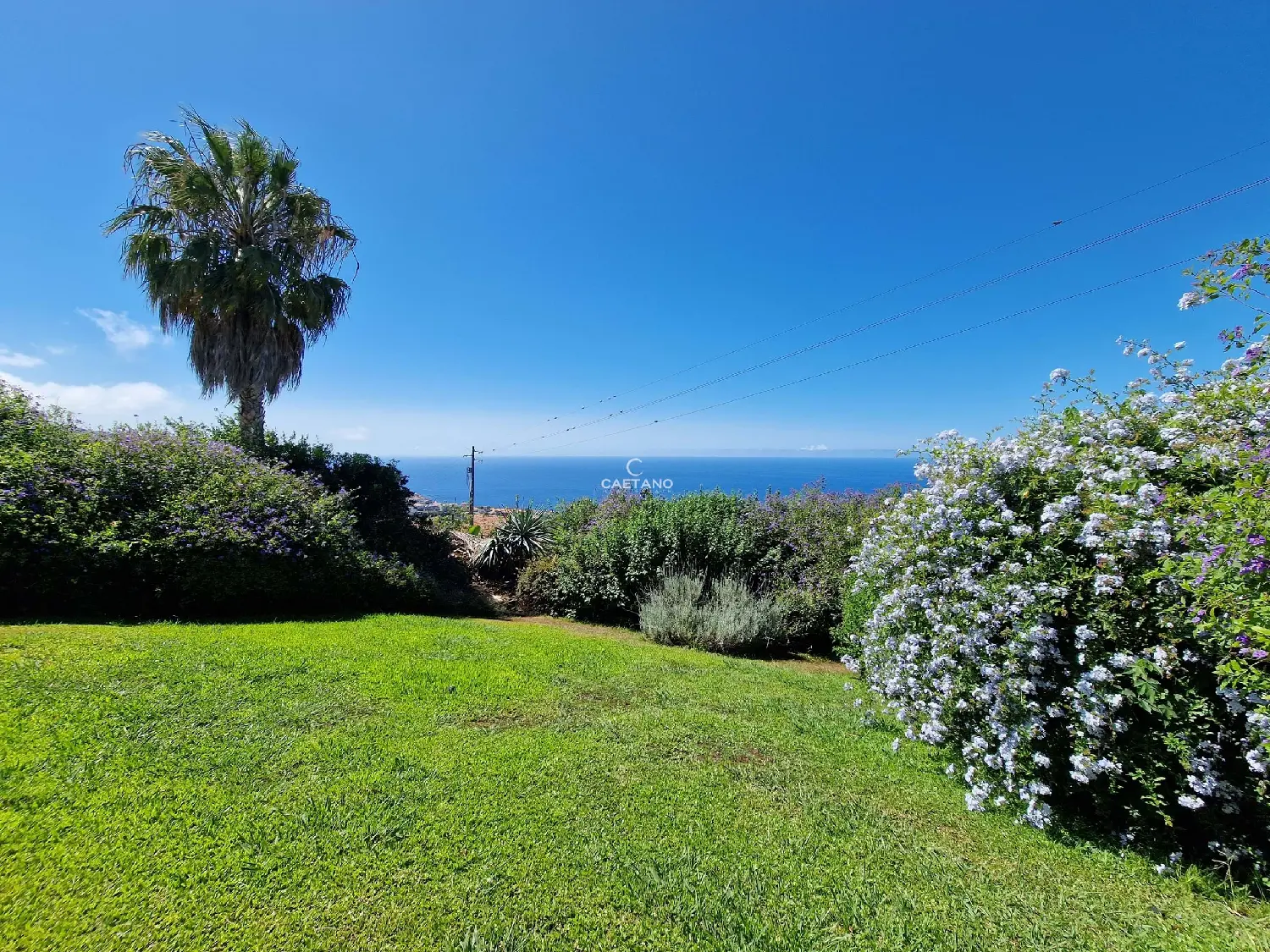  te koop villa Calheta Calheta (Madeira) 6