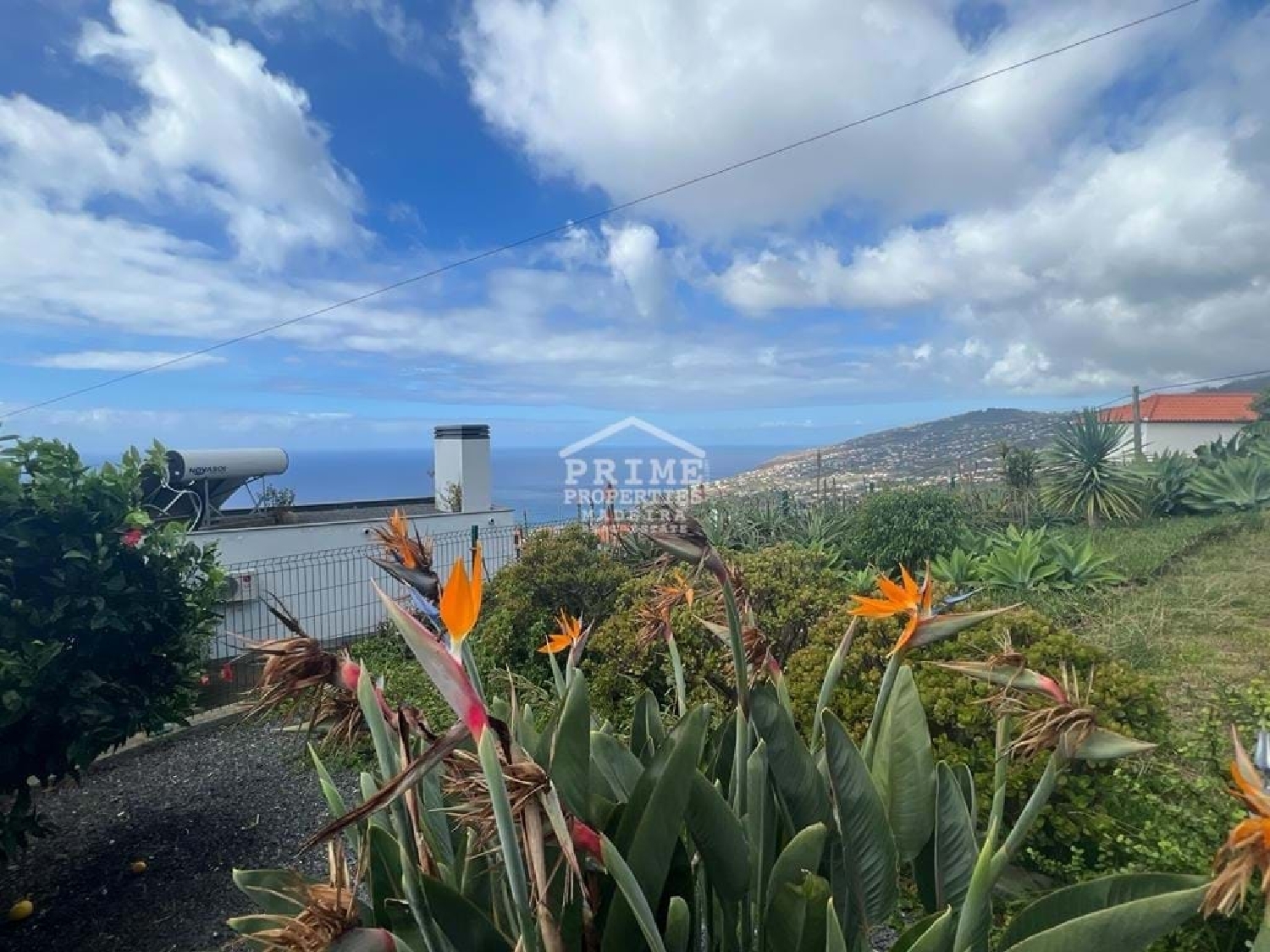  à venda vila Calheta Calheta (Madeira) 2