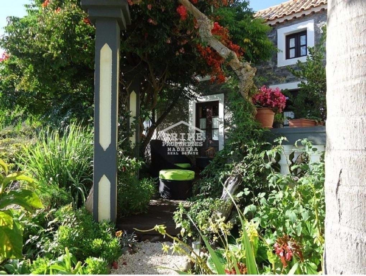  for sale villa Calheta Calheta (Madeira) 2