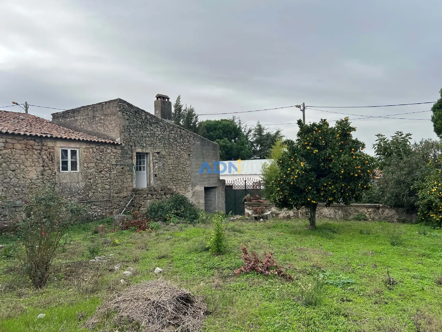  à venda vila Castelo Branco Castelo Branco 4