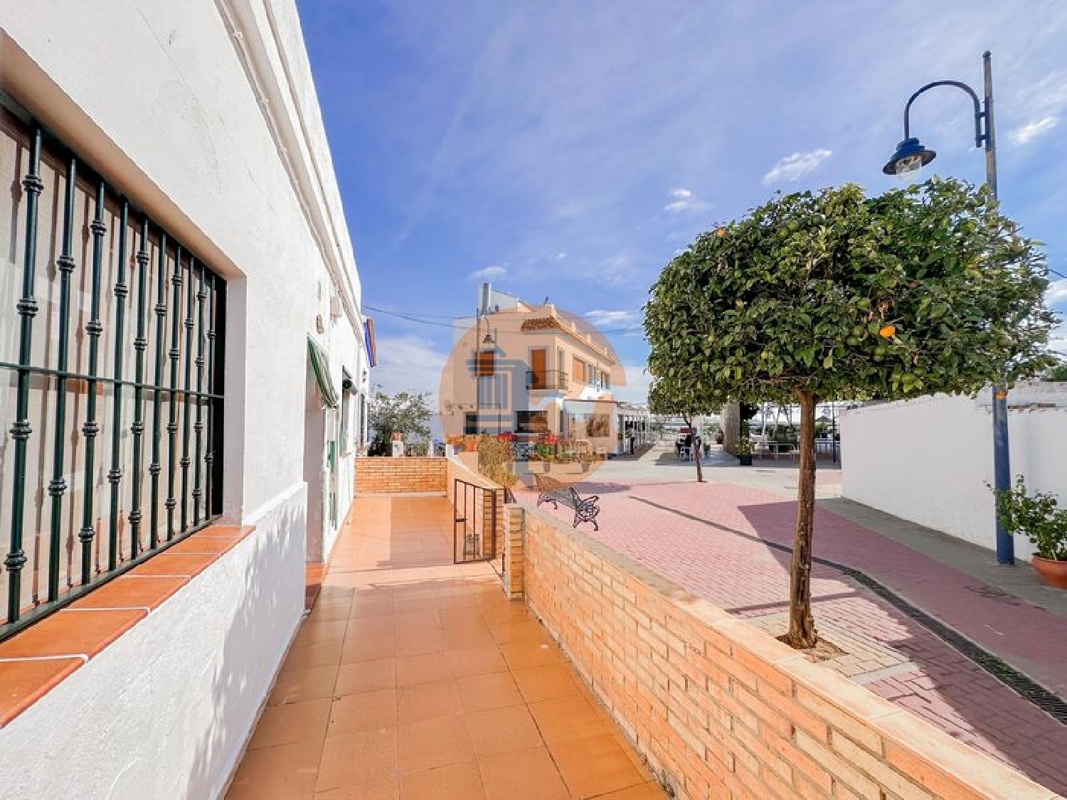 te koop villa Coimbra Coimbra 3