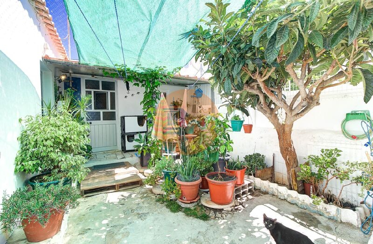  à vendre villa Conceição Faro 5