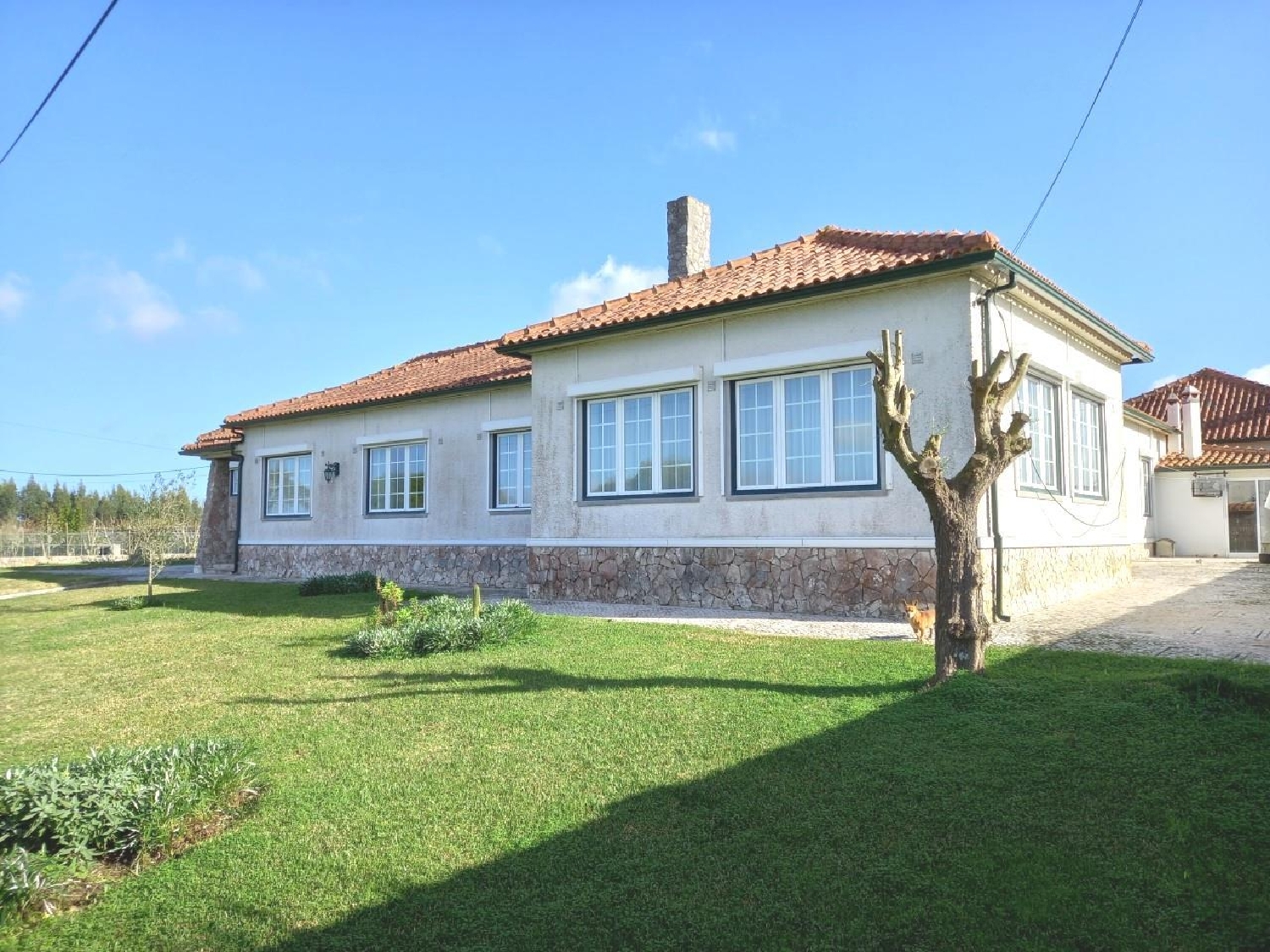 kaufen Villa Coto, Côto Vila Verde 2