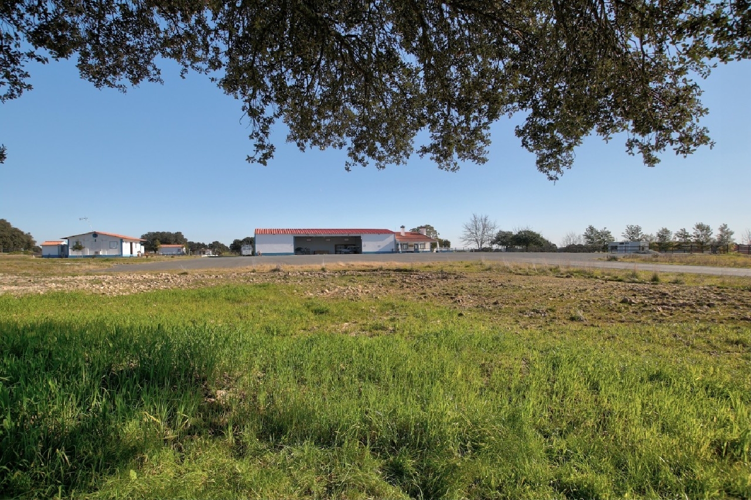 à vendre villa Ferreira do Alentejo Ferreira Do Alentejo 5