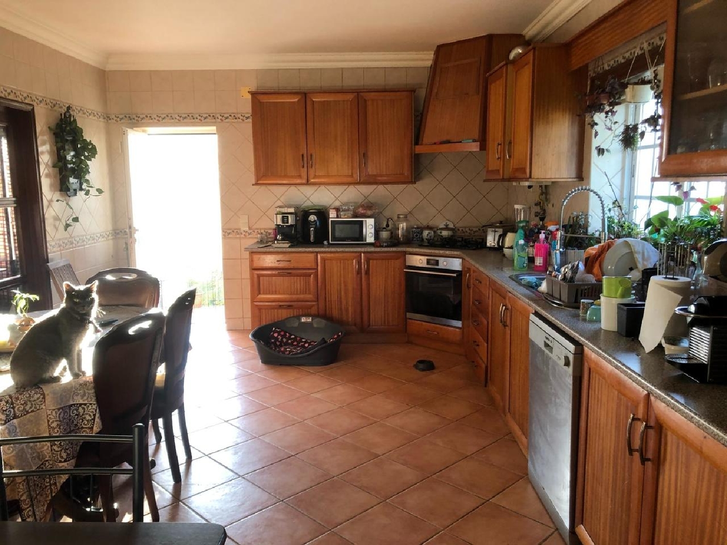  te koop villa Foz do Arelho Caldas Da Rainha 3