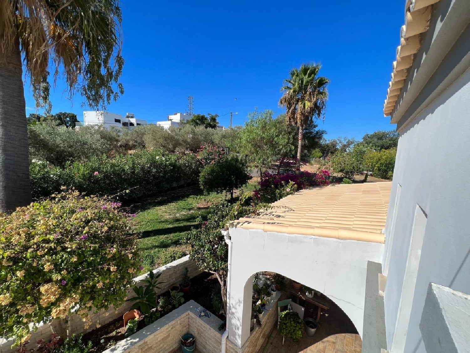  à venda vila Luz de Tavira Tavira 8