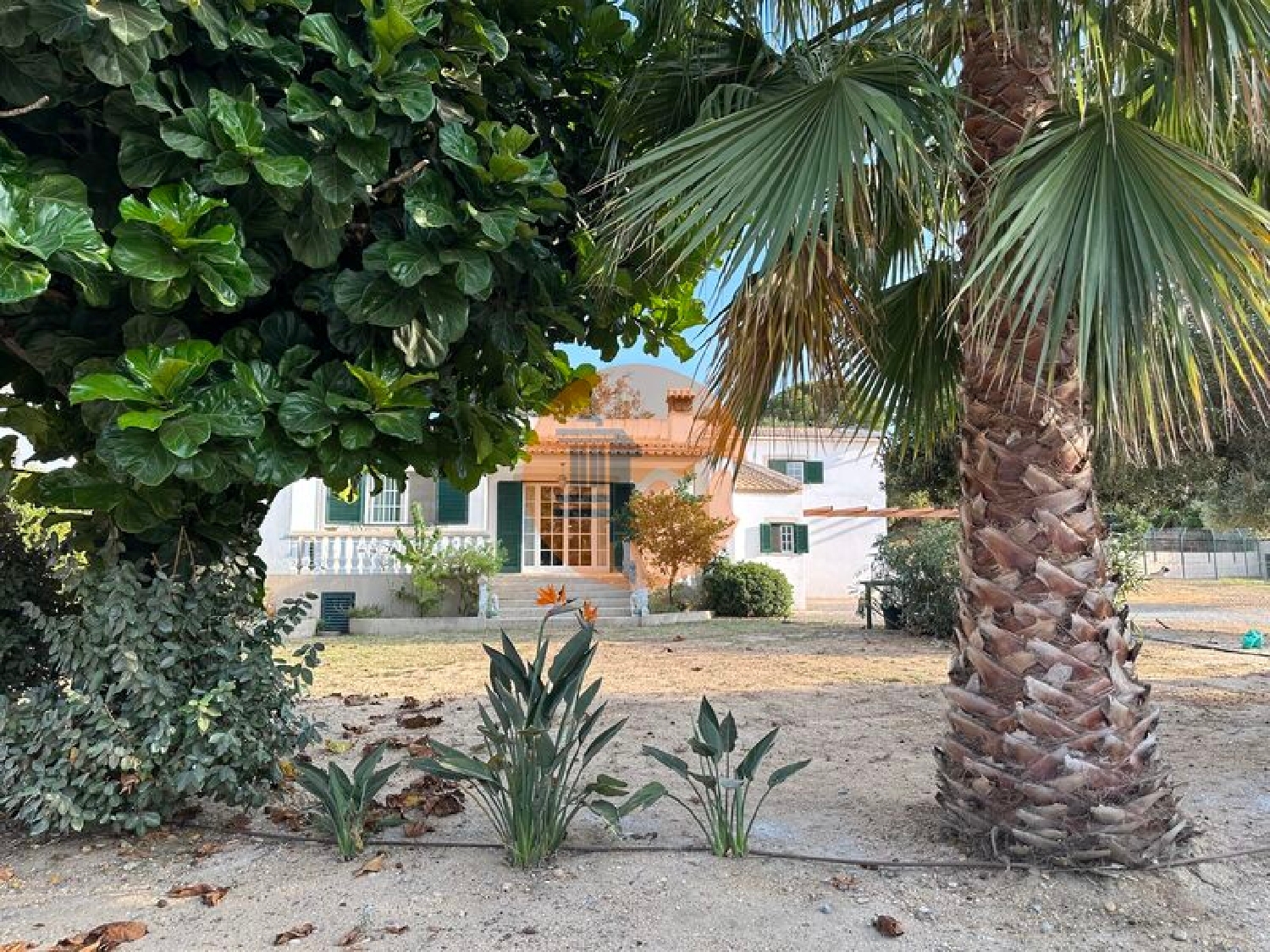  te koop villa Luz Lagos 8