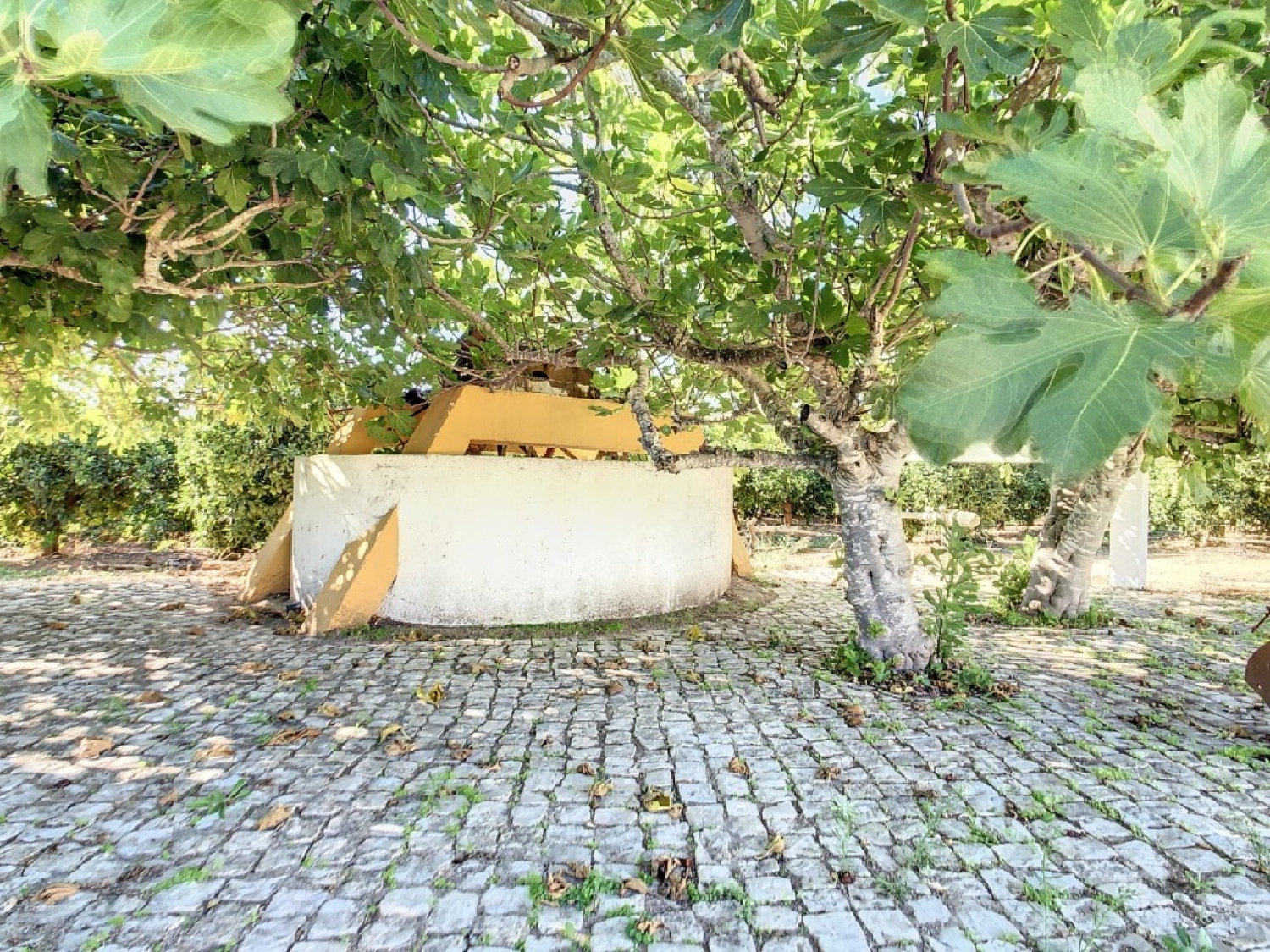  à venda vila Moncarapacho Olhão 7