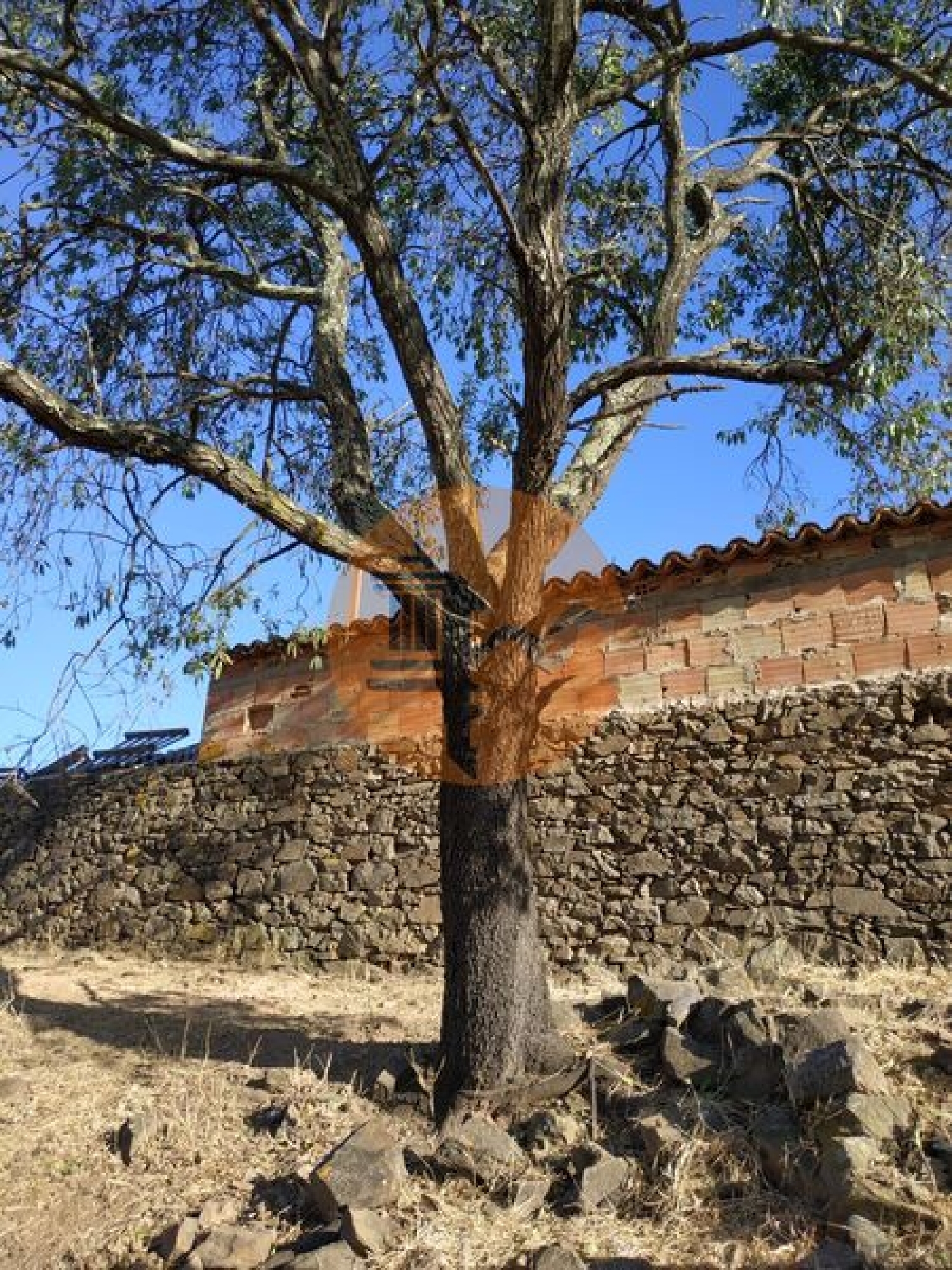  à venda vila Odeleite Castro Marim 7