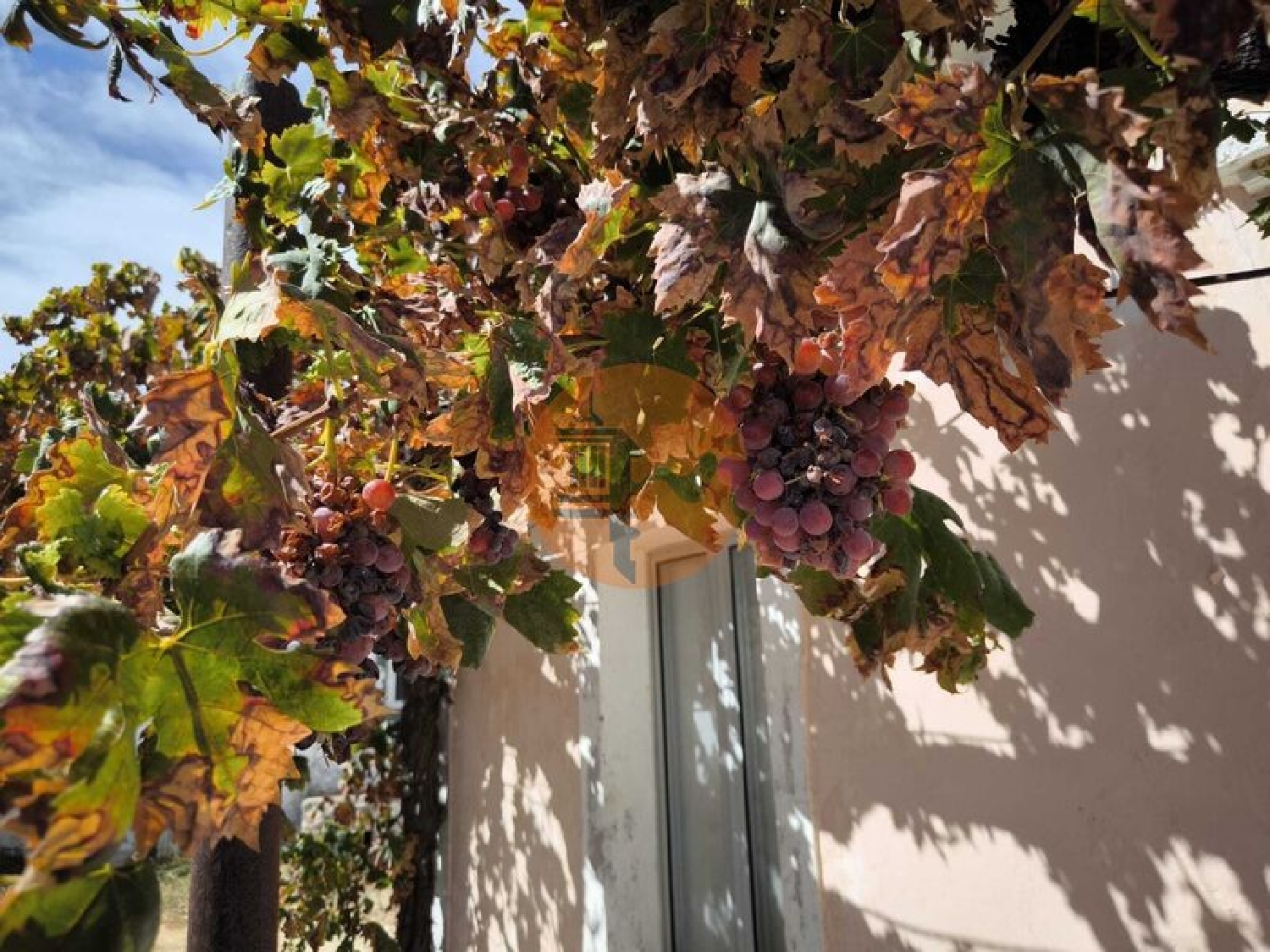  kaufen Villa Odeleite Castro Marim 5