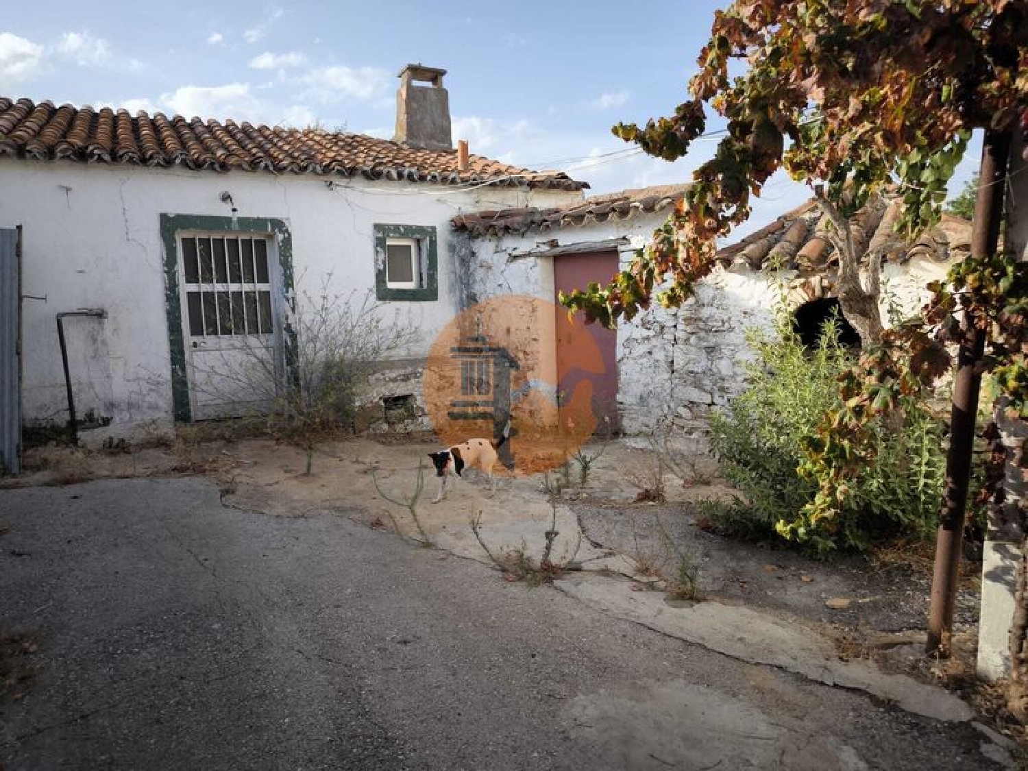 kaufen Villa Odeleite Castro Marim 7