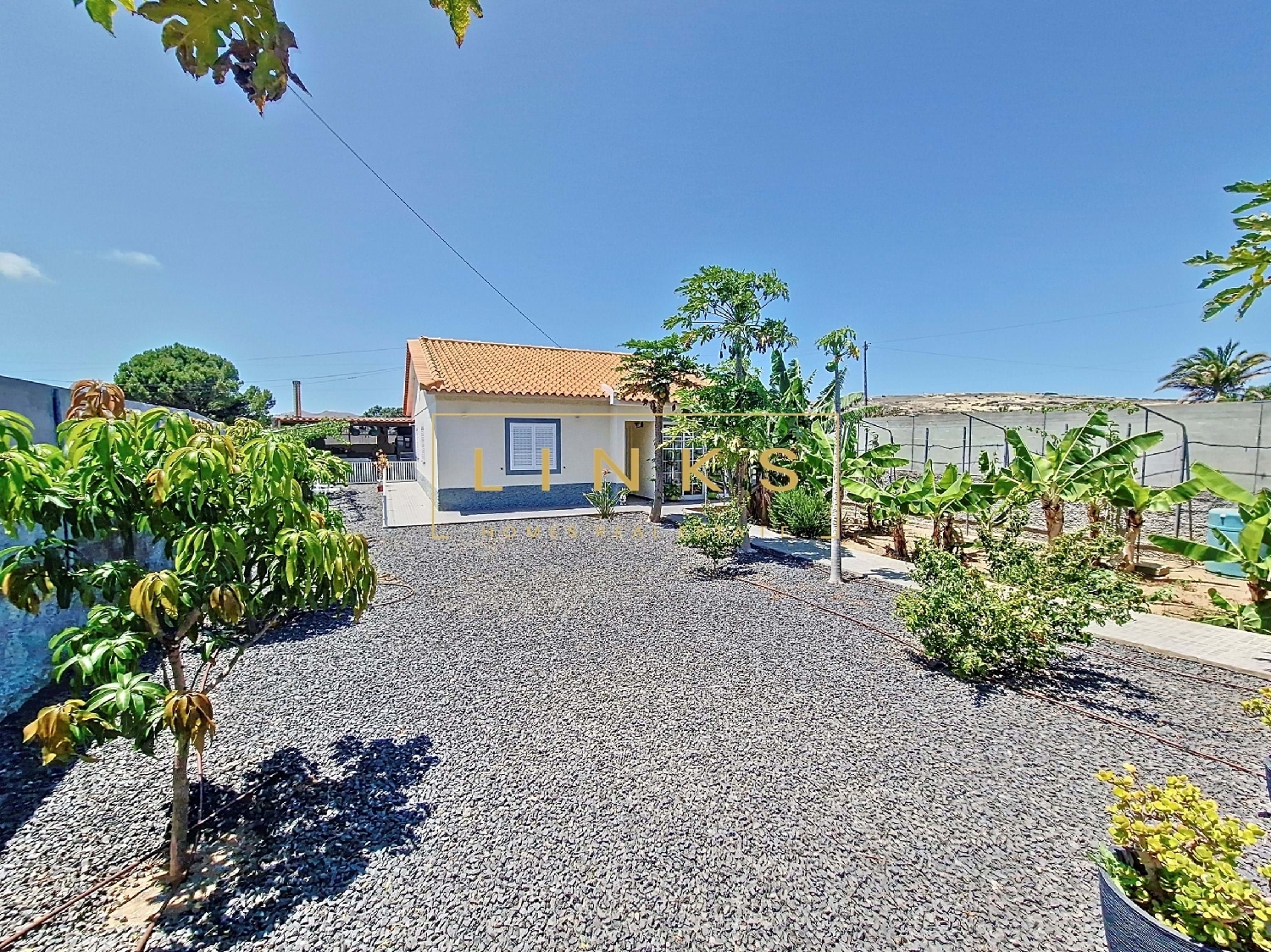  à vendre villa Porto Santo Porto Santo 5